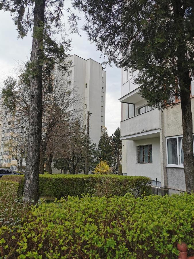 Apartament Maysa Клуж-Напока Екстер'єр фото