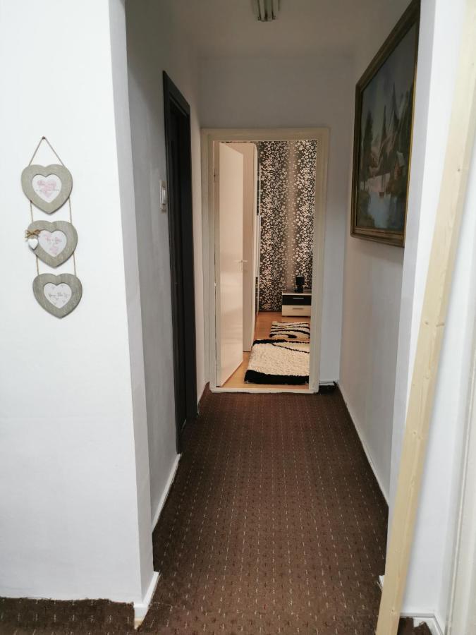 Apartament Maysa Клуж-Напока Екстер'єр фото