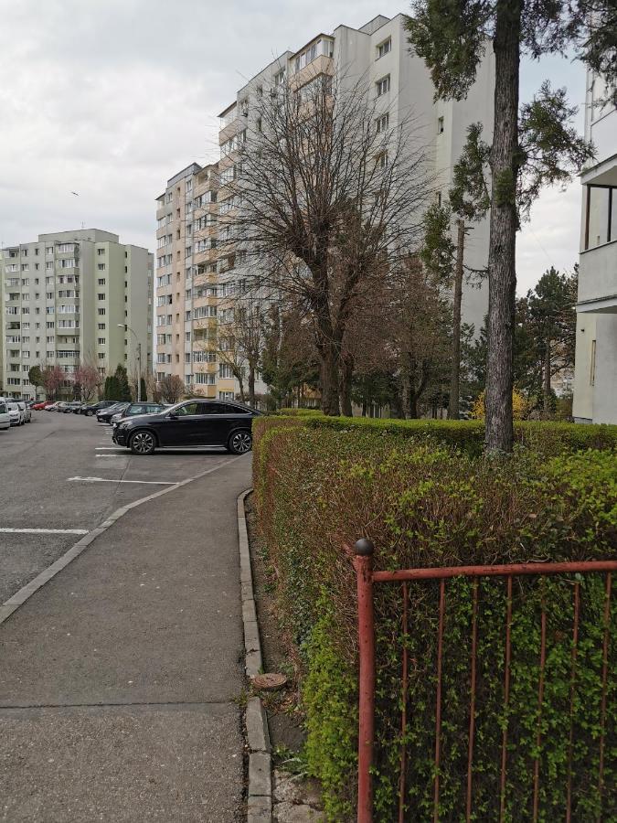 Apartament Maysa Клуж-Напока Екстер'єр фото